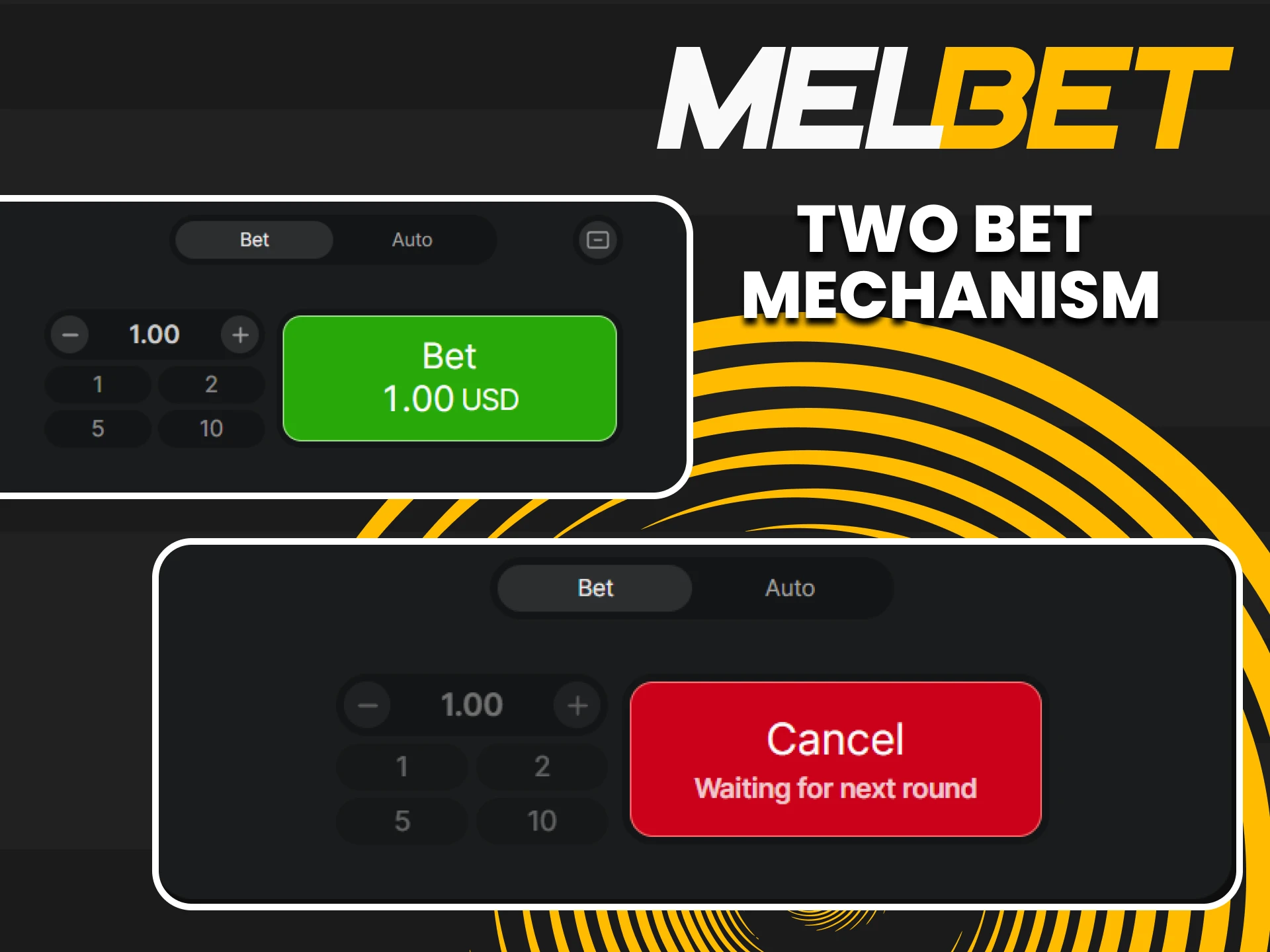 You can make two bets at once in the Aviator game from Melbet.